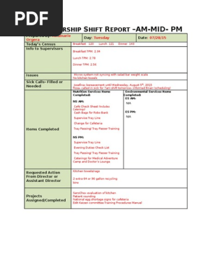 nes leadership shift report