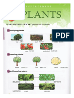 Plants Reinforcement