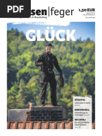 Glück - Ausgabe 1 2016 Des Strassenfeger