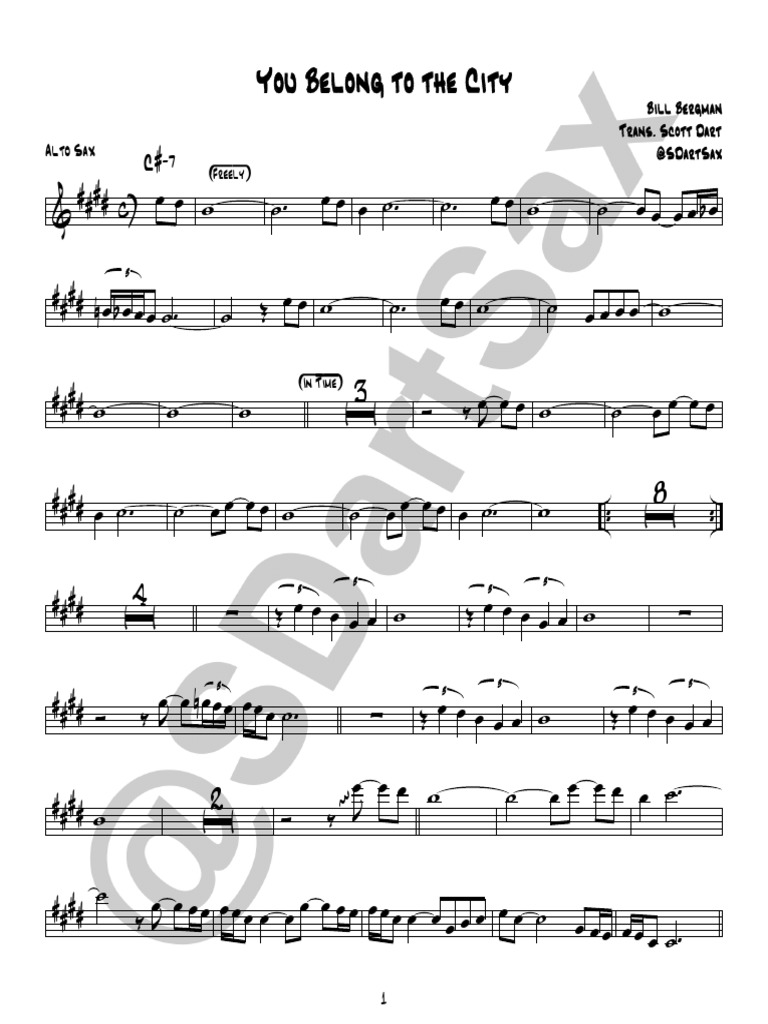 Bill Bergman You Belong to the City