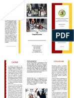 Sociologia Triptico PDF