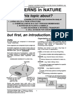 Bio2.Patterns in NatureU