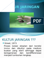 Kultur Jaringan