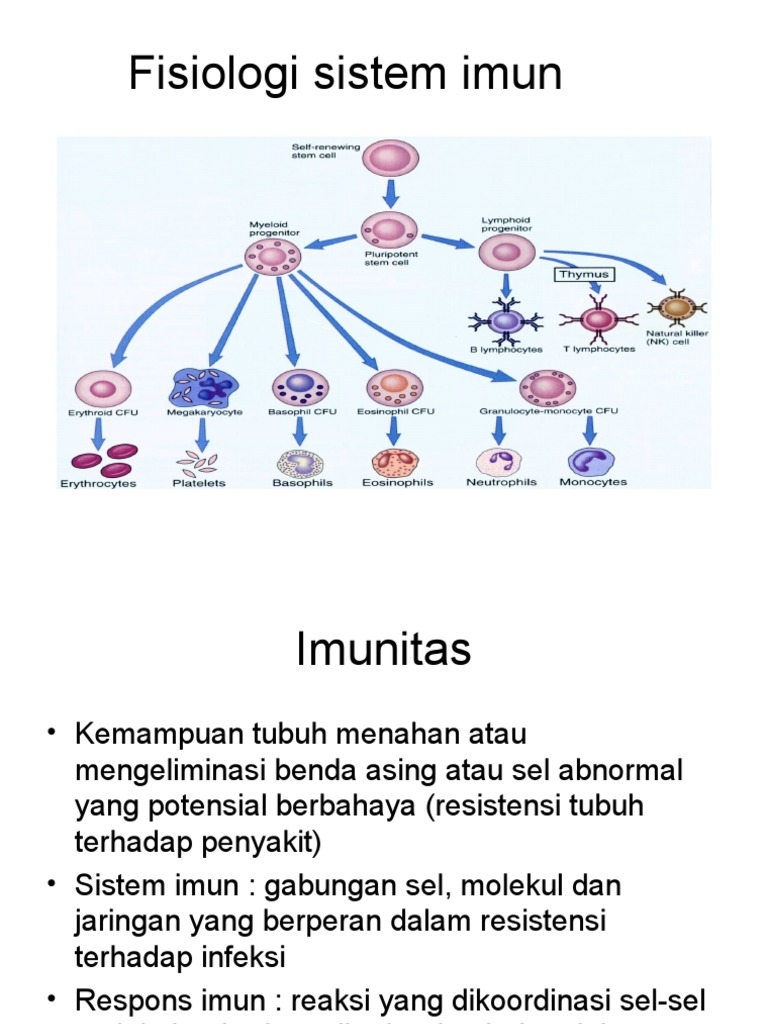 Fisiologi dan Fungsi Sistem Imunitas | PDF | Pengembangan Diri ...