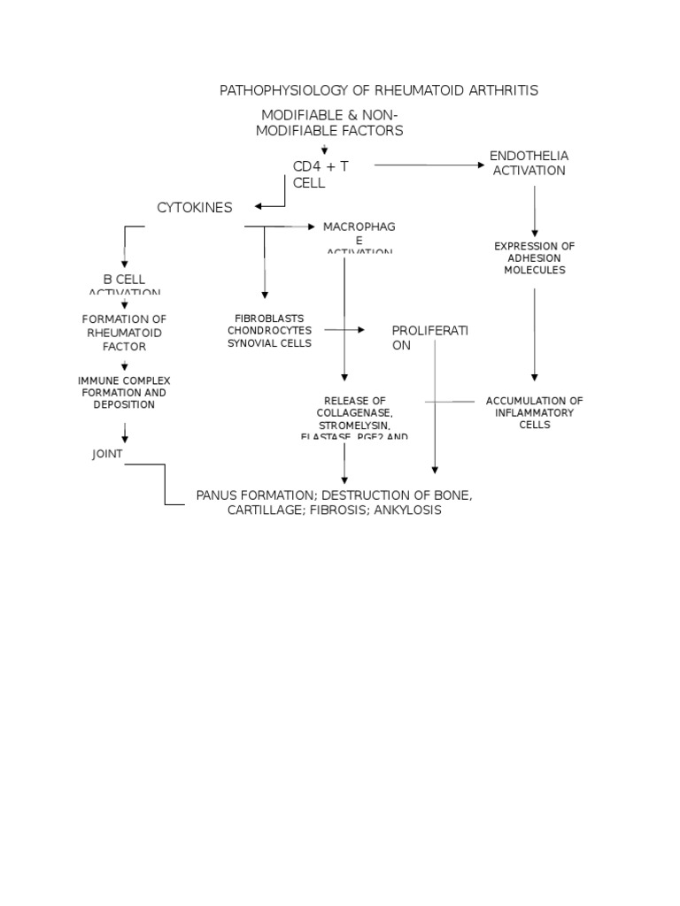 Pathophysiology of Rheumatoid Arthritis