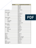 Caracteristicas Psicologicas e Fisicas Vocabulario