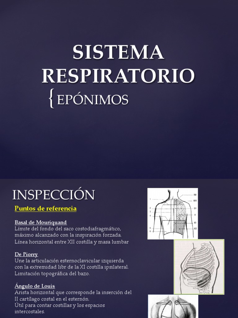 Semiología Pulmonar - Epónimos | PDF | Mano | Anatomía humana