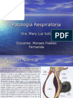 patologarespiratoria-121012182945-phpapp01