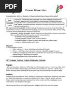 Lily Flower Dissection Guide | PDF