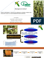 caracteres ecofisiologicos en maiz