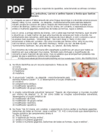 Funcionamento Da Lingua 11º