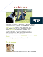 Adiestramiento de Los Perros