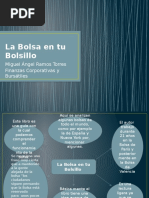 La Bolsa en Tu Bolsillo