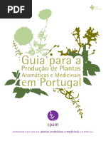 Guia Epam Apresentacao Jan2015