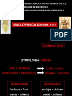 Mallophaga-Cristiano.ppt