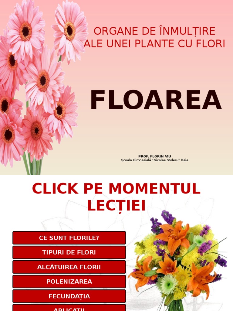 Floarea (1) .PPSX | PDF