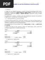 Apontamentos Sobre Os Capitais Próprios e Sua Evolução