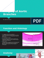 Aortic Branches