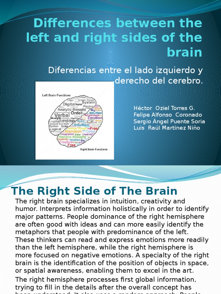 Differences Between The Left and Right Sides of | PDF | Hemisferio ...