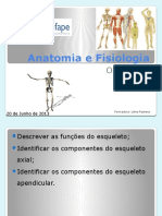 5 - Osteologia