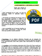 Tema 6 La Biosfera PDF