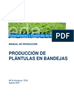 EDA Manual Produccion Plantulas 08 07