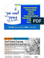 Download semut Jepang Semut Jepang dan Manfaatnya082370086410 by semut jepang SN300110957 doc pdf