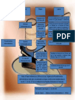 Esquema U-II Procedimientos Administrativos