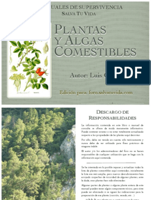 Manual De Plantas Y Algas Comestibles Apio Plantas