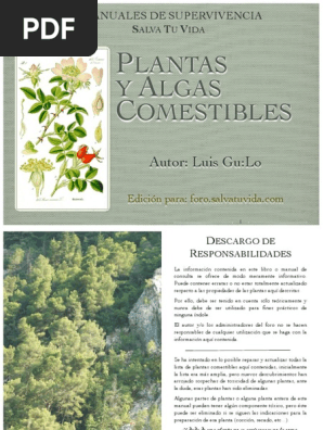 Manual De Plantas Y Algas Comestibles Apio Plantas