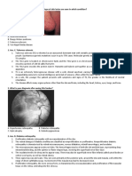 Visual Based Paper4