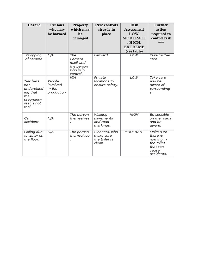 Risk Assessment and Controls Guide | PDF