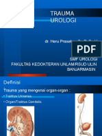 DR - Heru - Trauma Urology