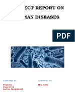 Project Report On Human Diseases