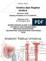 Striktur Uretra Dan Ruptur Uretra