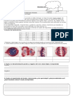 MITOSIS PRUEBA II°B