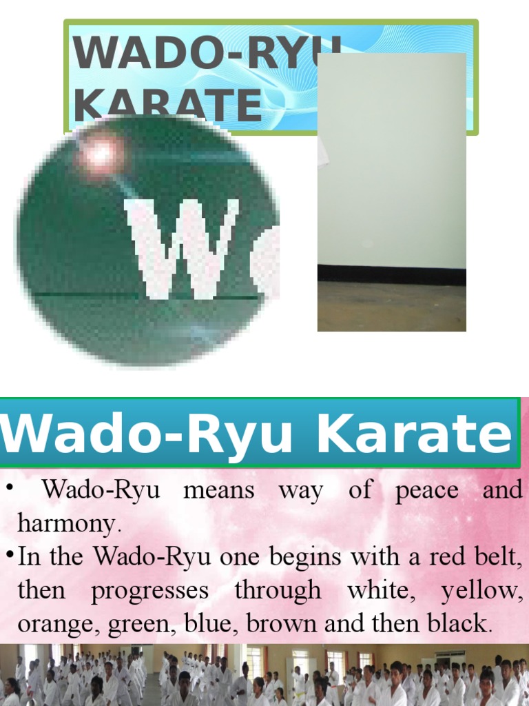 Wado-Ryu Karate Techniques and Terminology | PDF