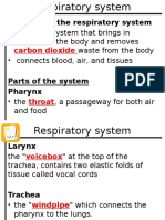 Respiratory System Notes