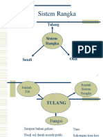 Sistem Rangka - Ringkasan