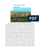 Ekosistem Padang Rumput