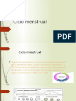 ciclo menstrual