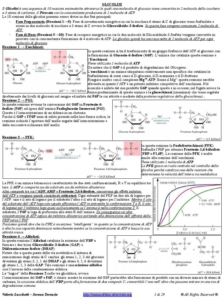Biochimica | PDF