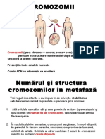 Cromozomii