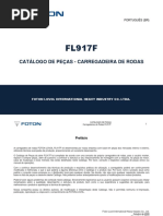 catalogo foton 917.pdf