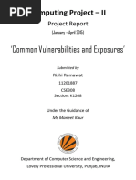 Common Vulnerabilities and Exposures Project Report