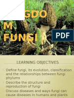 service learning kingdom fungi group 4