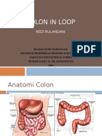 CSS Colon in Loop