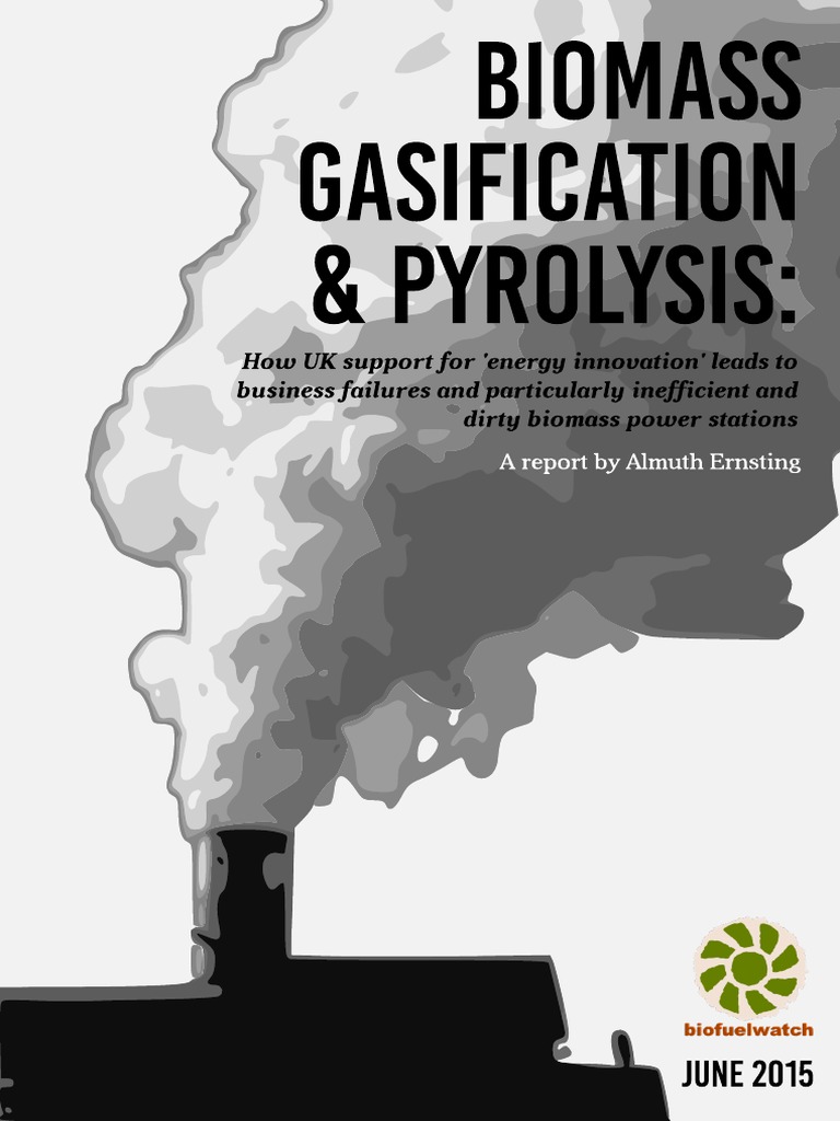 UK Biomass Gasification & Pyrolysis Report | PDF | Gasification | Biomass
