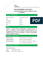 Curriculum Vitae Nerio Romero Loayza