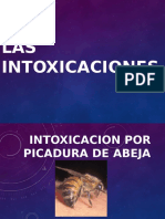 Intoxicacion Por Picadura